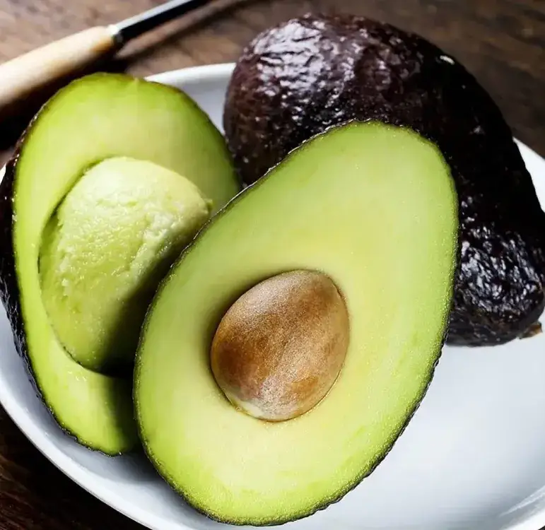아보카도 먹는 방법