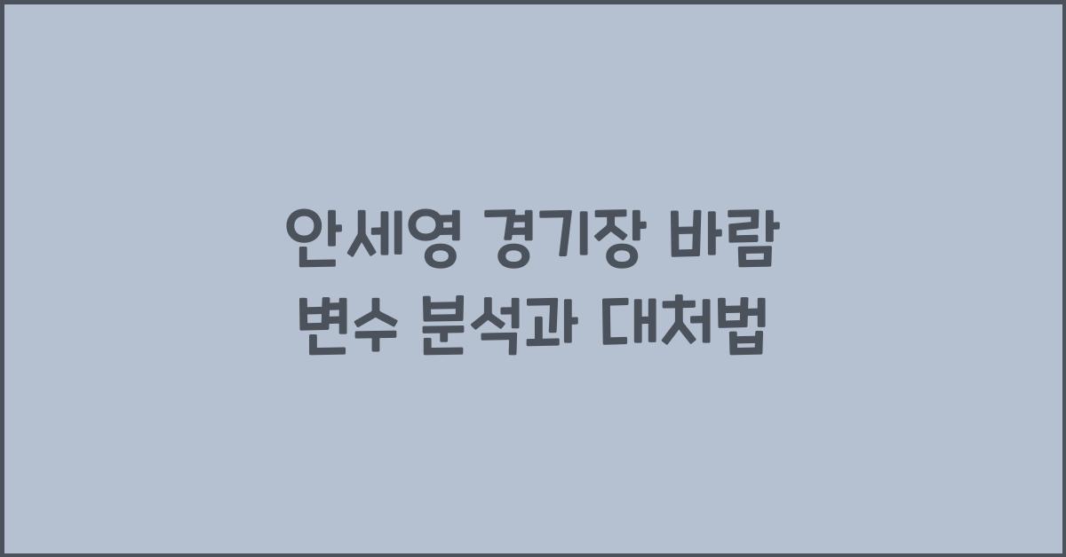 안세영 경기장 바람 변수