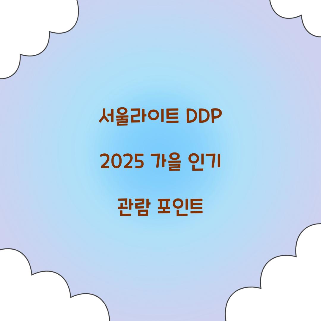 서울라이트 DDP 2025 가을