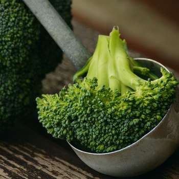 브로콜리 효능