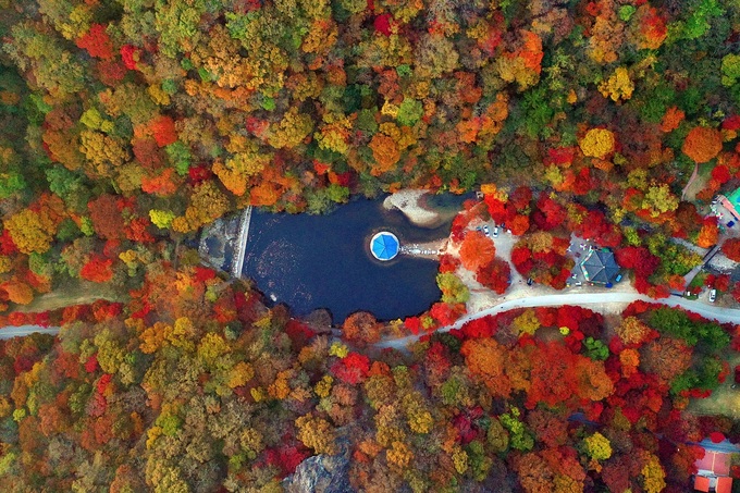 2024 내장산 단풍시기