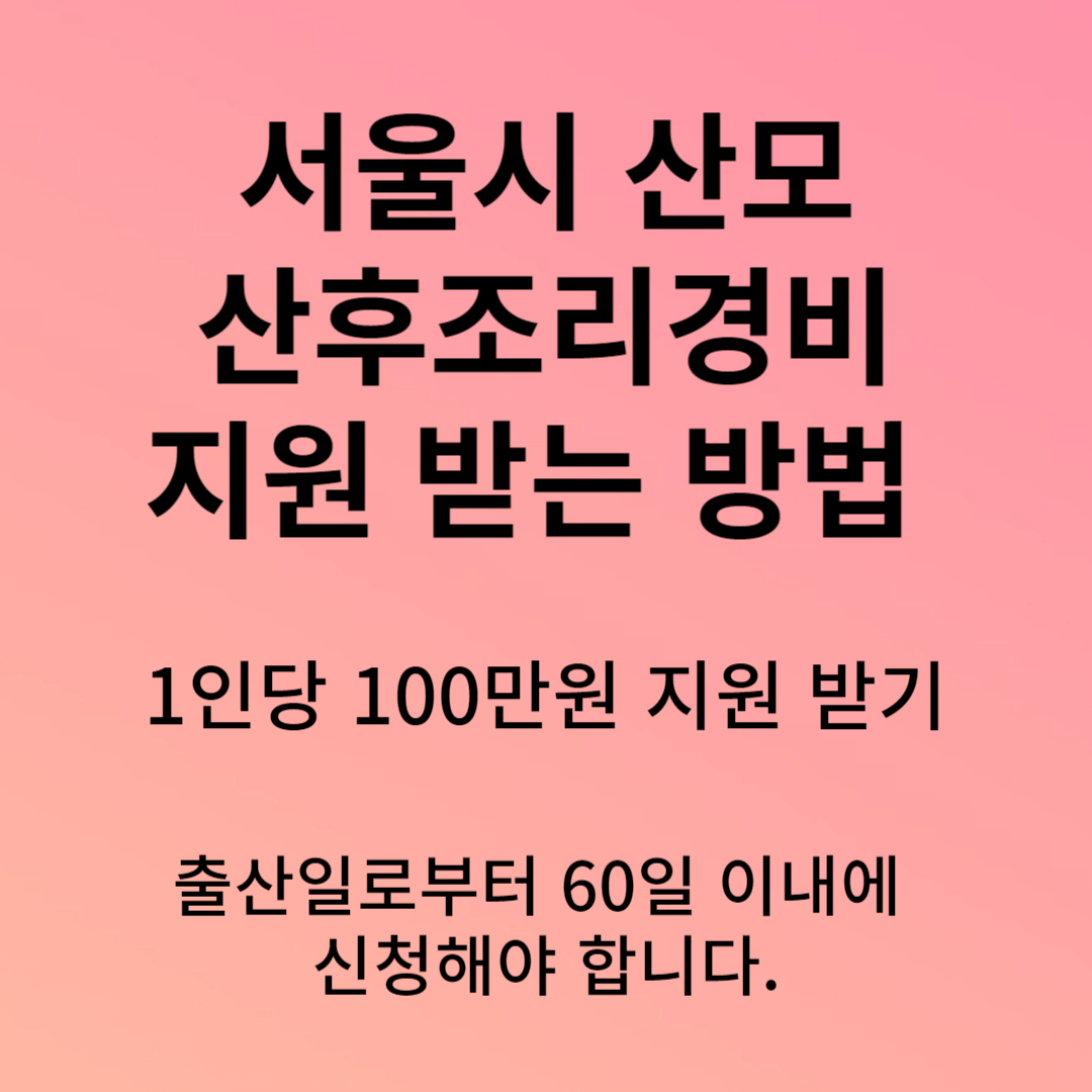 서울시 산모 산후조리경비 지원금 신청 방법
