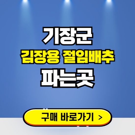 기장군 절임배추 사전예약 구입하는곳 ❘ 김장배추 파는곳 가격보기