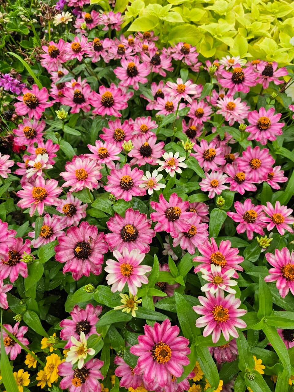 장애인 통계로 본 현실