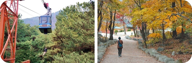 부산-금강공원-금정산-케이블카-단풍-명소-전경