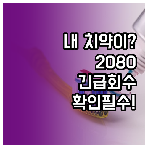 애경산업 2080 데일리케어 치약 회..