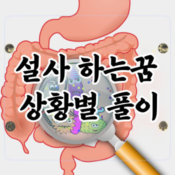 설사하는-꿈-해몽-풀이