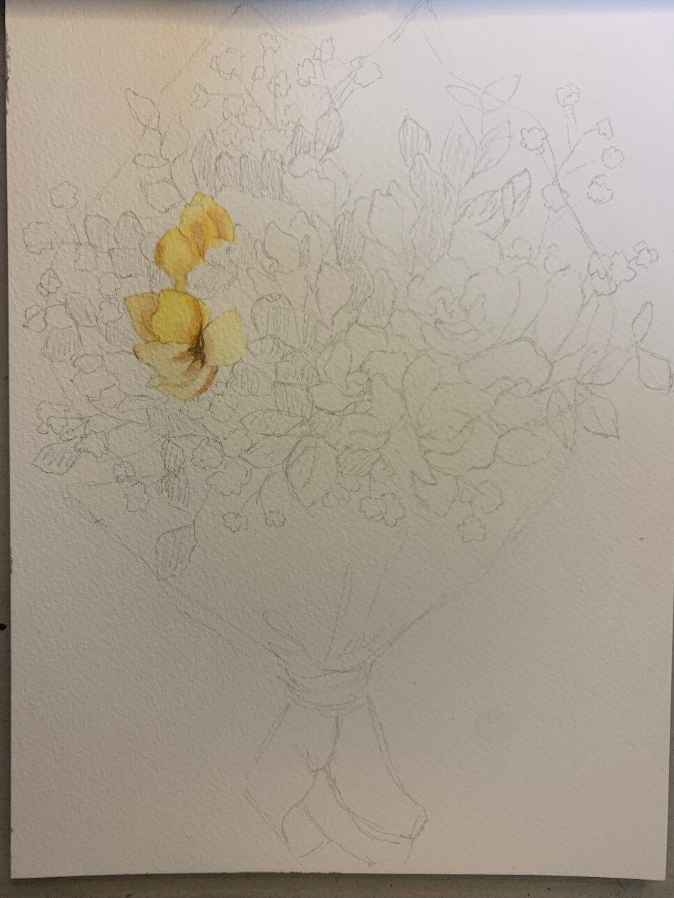 프리지아-스케치