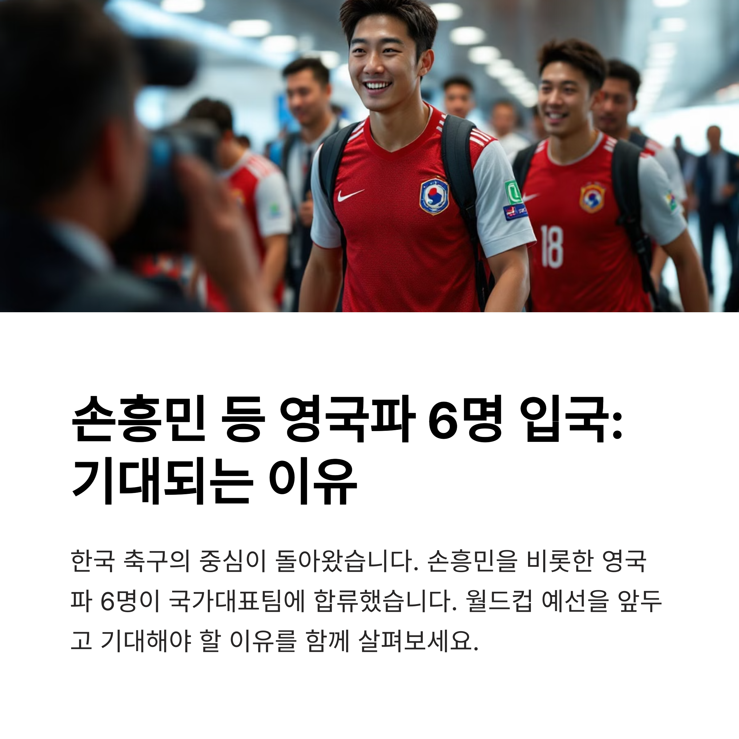 손흥민 입국