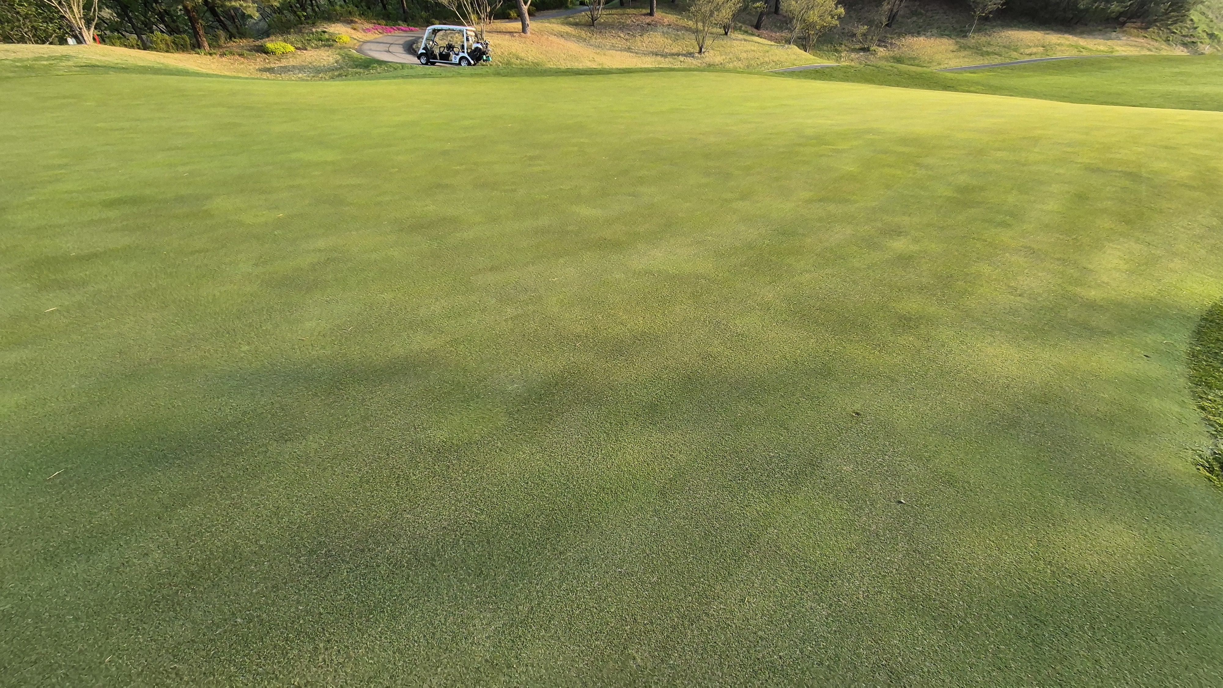 소노펠리체cc 비발디파크 웨스트