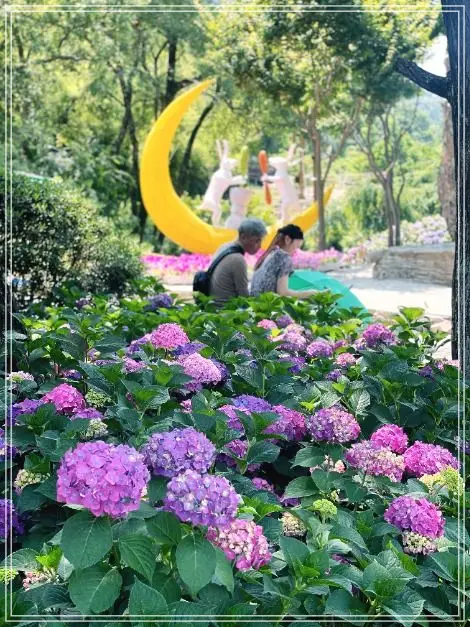 batch_900a948c-b7db-485f-a762-e6008adbc741_4