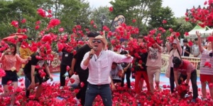 곡성 장미축제 증기기관차 레일바이크 사전 예약방법