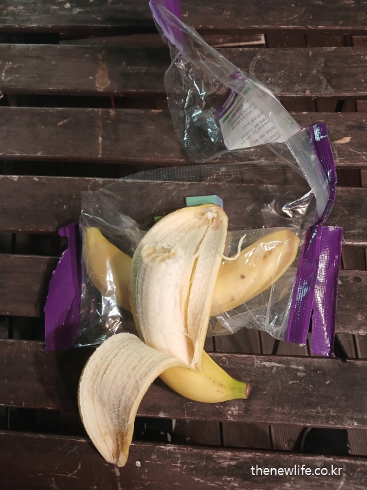 설탕 끊는 동안 매일 먹었던 중간 숙성 바나나