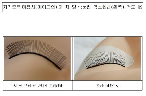 속눈썹