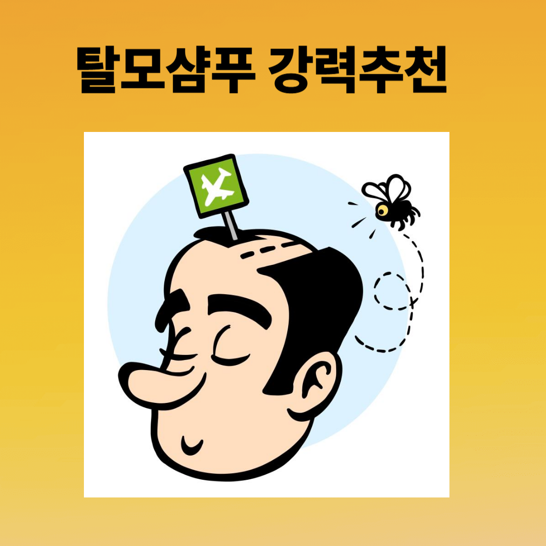 30대 탈모 극복기: 효과 본 탈모 샴푸 리얼 후기