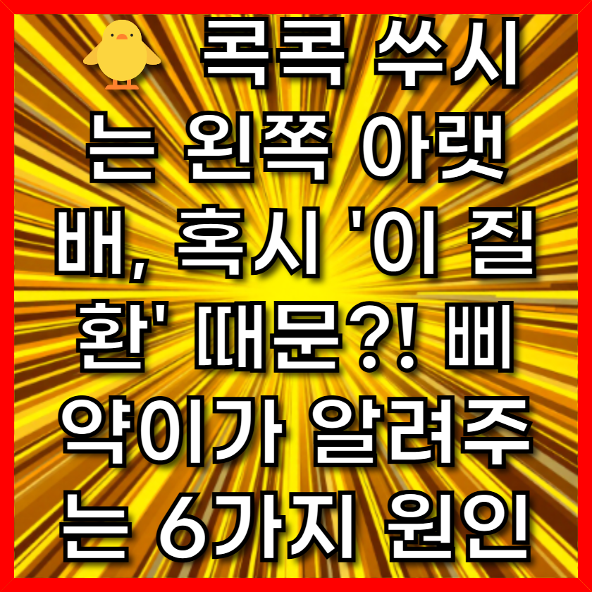 🐥 콕콕 쑤시는 왼쪽 아랫배, 혹시 '이 질환' 때문?! 삐약이가 알려주는 6가지 원인