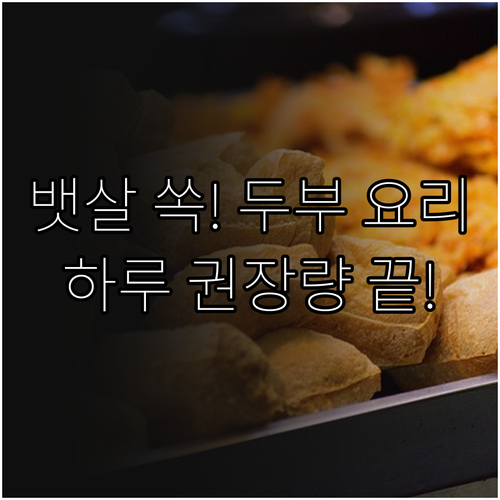 뱃살 빼는 두부 요리 종류와 하루 권..
