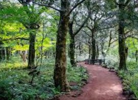 제주 2박 3일 핫플레이스