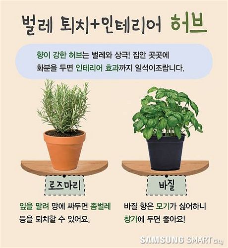 화장실 벌레 퇴치 방법