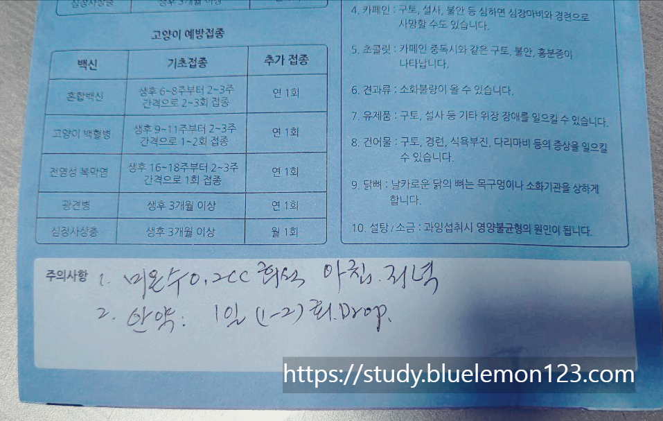 레오파드게코 눈병 치료 후기 (고름, 안약, 가루약, 병원비)