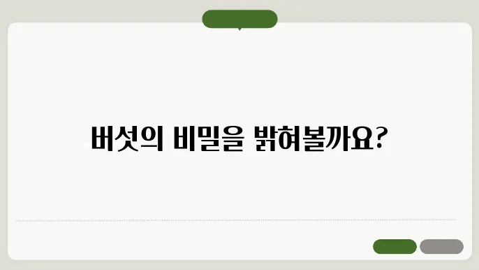 버섯 종류