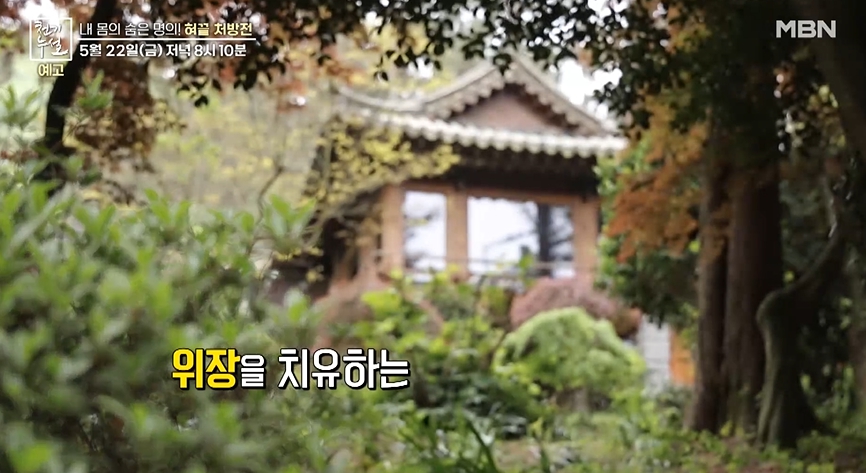 자연풍경