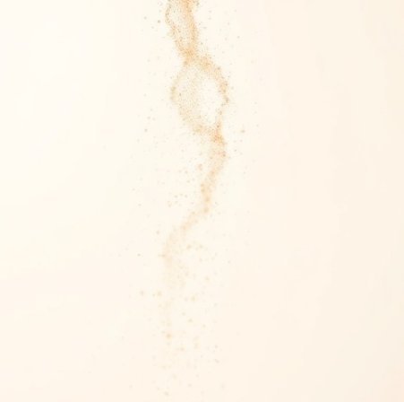 차전자피-분말-먹는-법-효능-추천