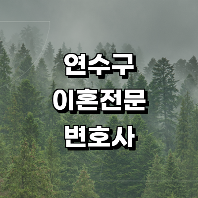 인천 연수구 이혼 변호사