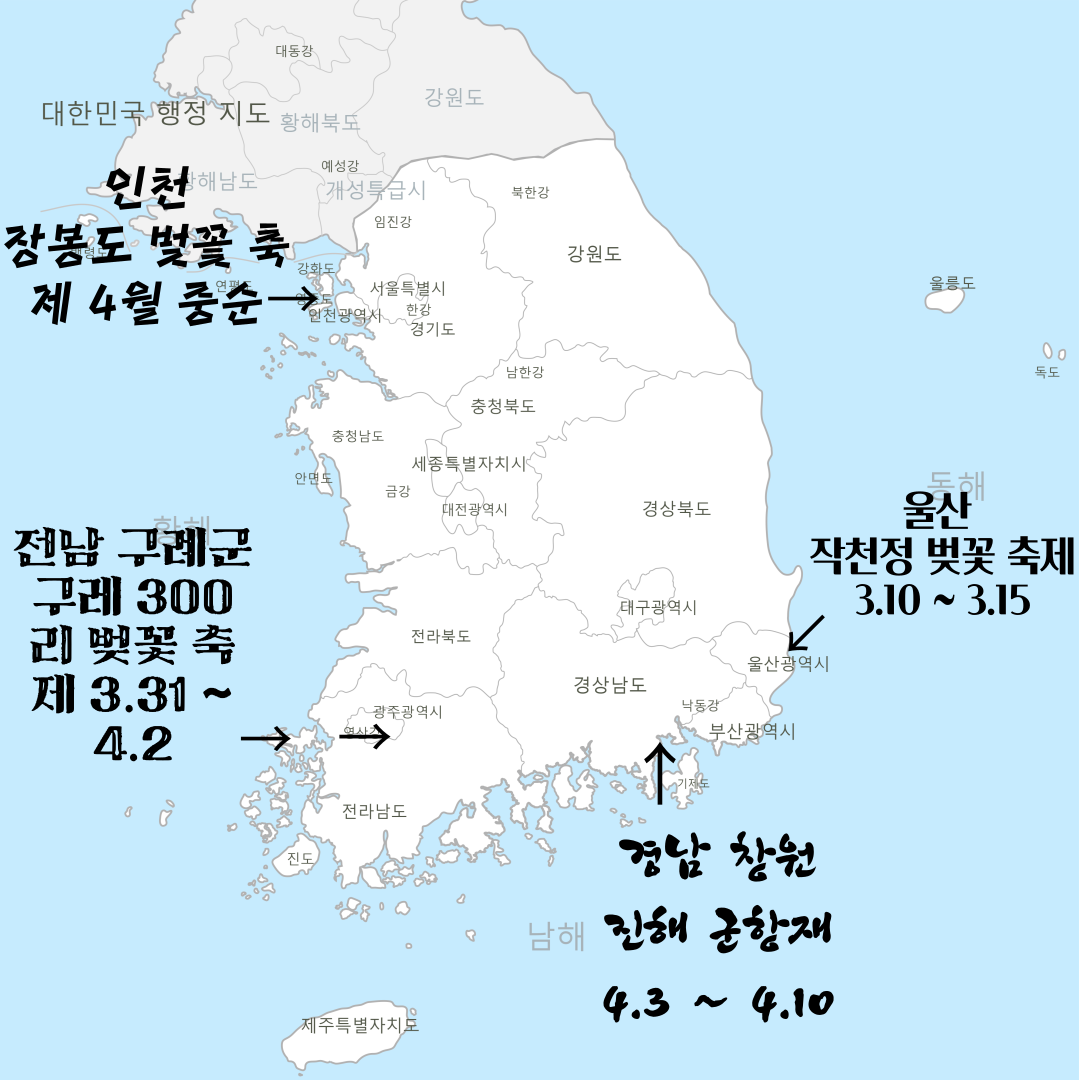 벚꽃 축제 플렛폼 사진