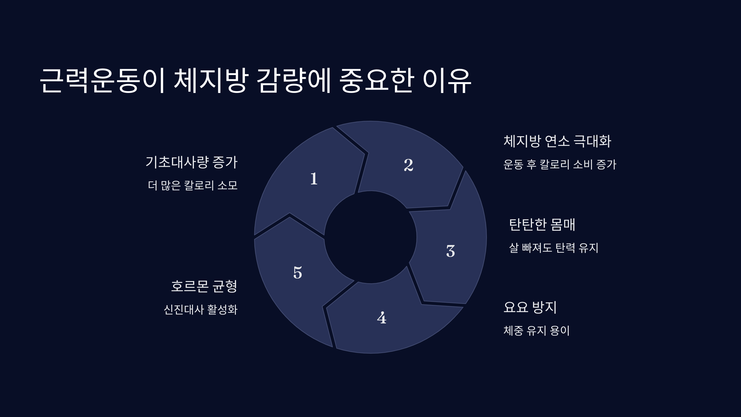 근육량 늘리면서 다이어트하기