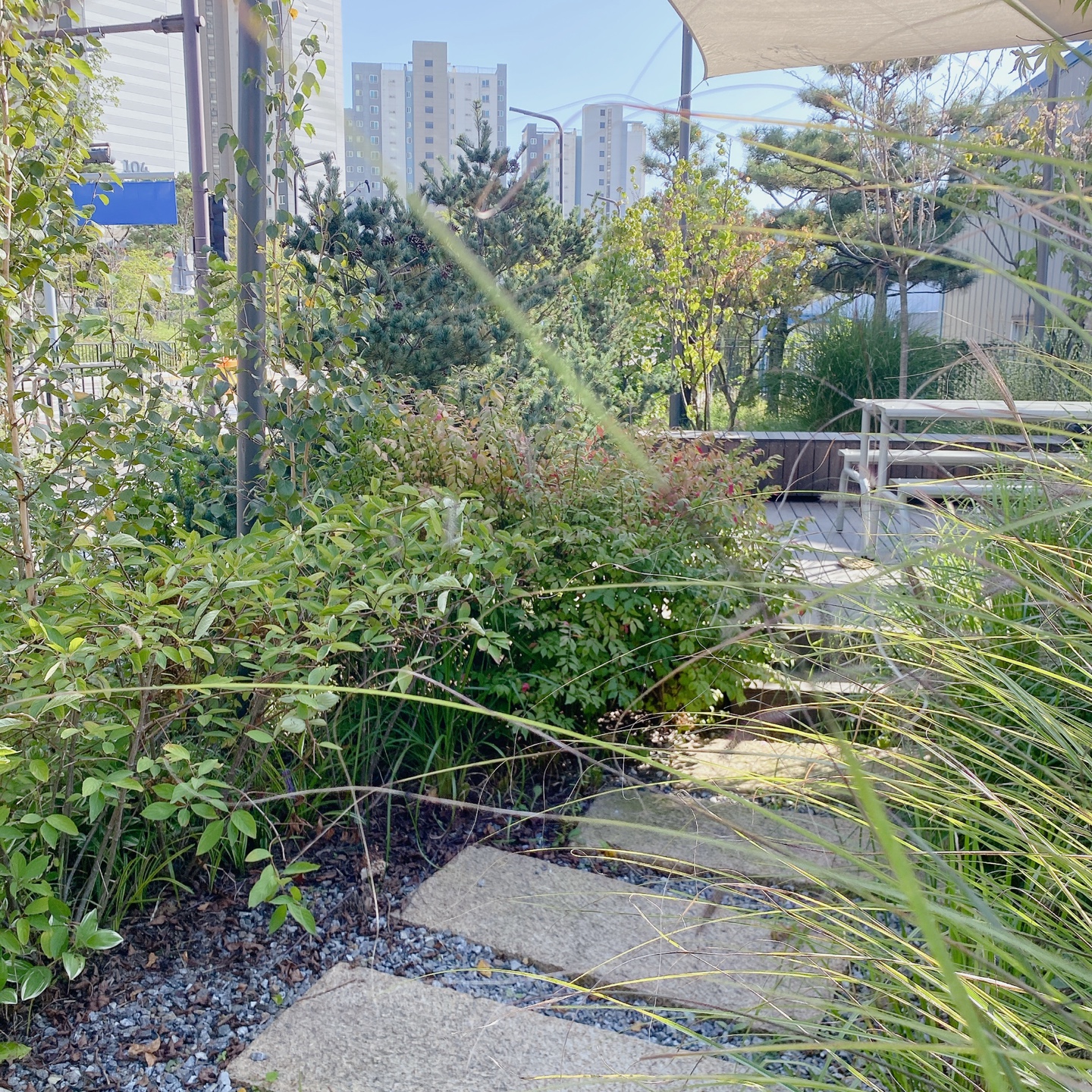 화성 동탄 동학산 대형카페 브라운스케이프(Brown Scape)카페 주차 리뷰 추천 시그니처메뉴