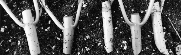 수국 삽목 하는 방법: 삽수 준비