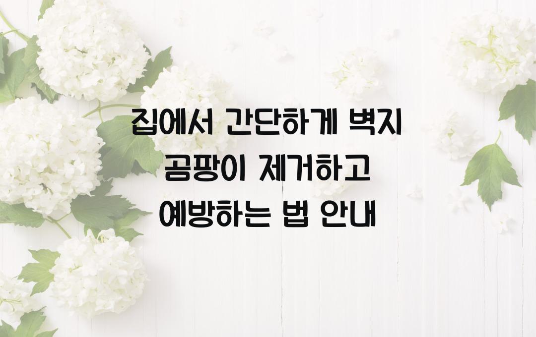 집에서 간단하게 벽지 곰팡이 제거하고 예방하는 법