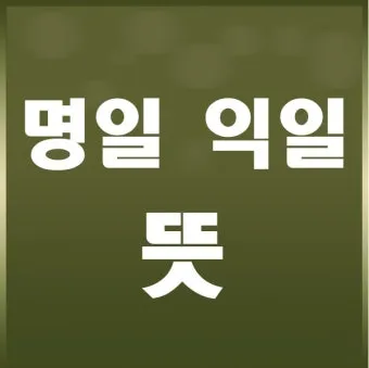 명일 뜻 익일 작일 금일 내일 전일 어제 차일 정리_6