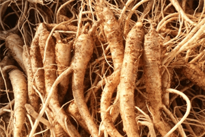 도라지차 효능04