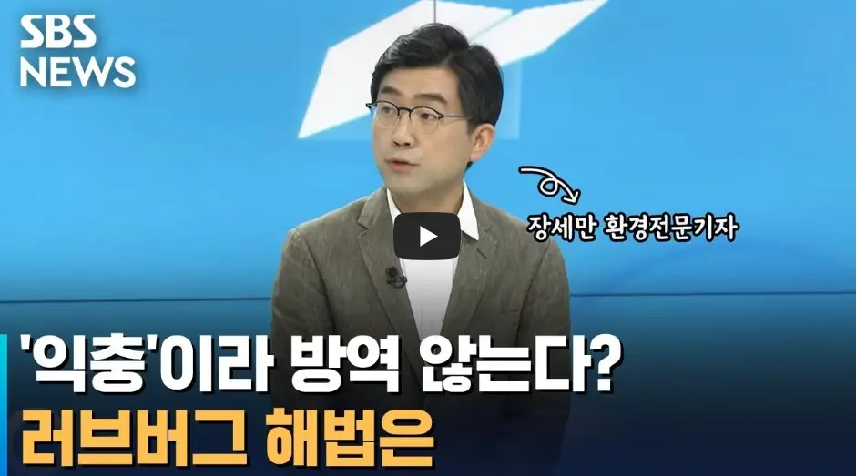 러브버그 해법 영상 - 보러가기