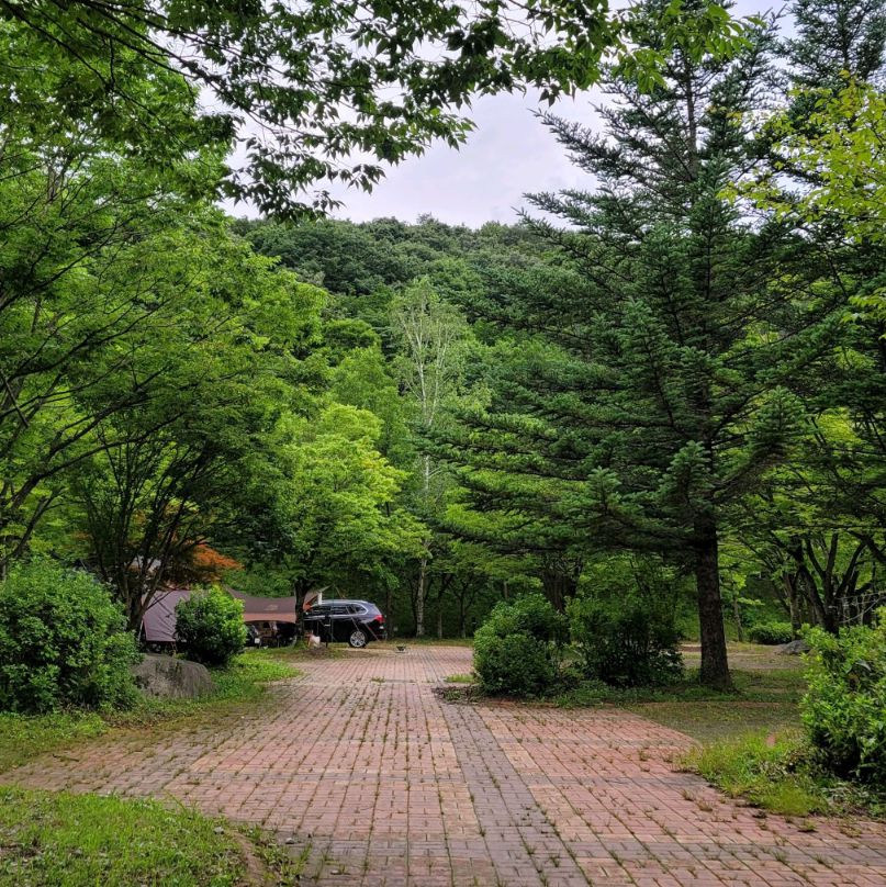 국립덕유산자연휴양림