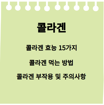 콜라겐