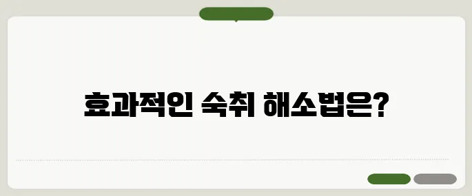 알콜 분해 시간 숙취 싹 사라지게 하려면