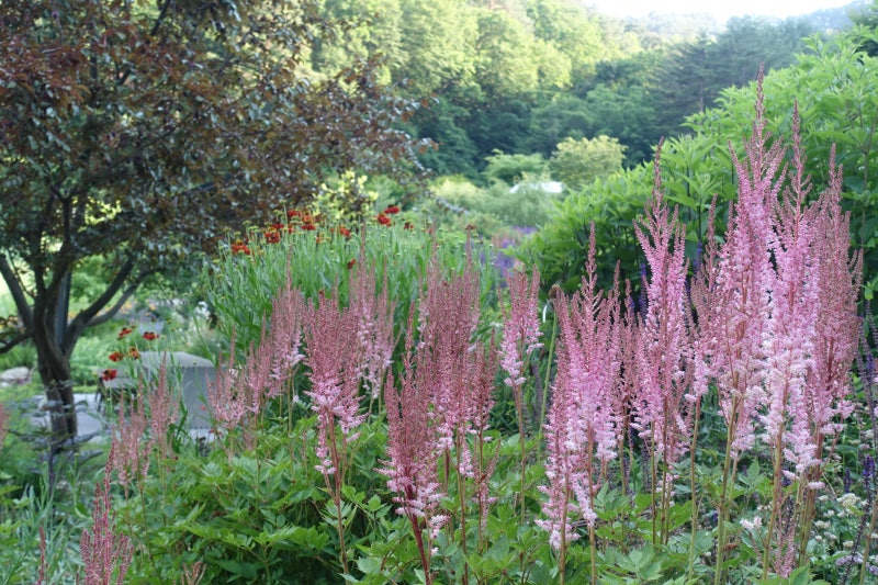 특색있고 아름다운 민간 정원 30선 추천 여행 - 12. 인제 찍박골 정원