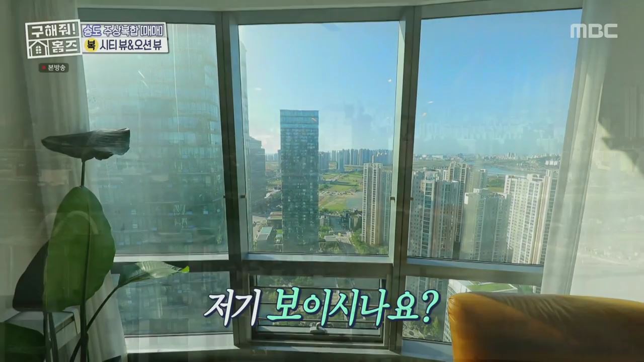 구해줘홈즈 양세형 다이나믹 듀오 최자 개코 송도국제도시 제 1공구 다이나믹 뷰오 매물 가격 및 구조 인테리어 리모델링 최종선택 소개 다시보기