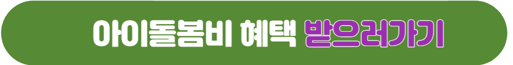 서울형 아이돌봄비