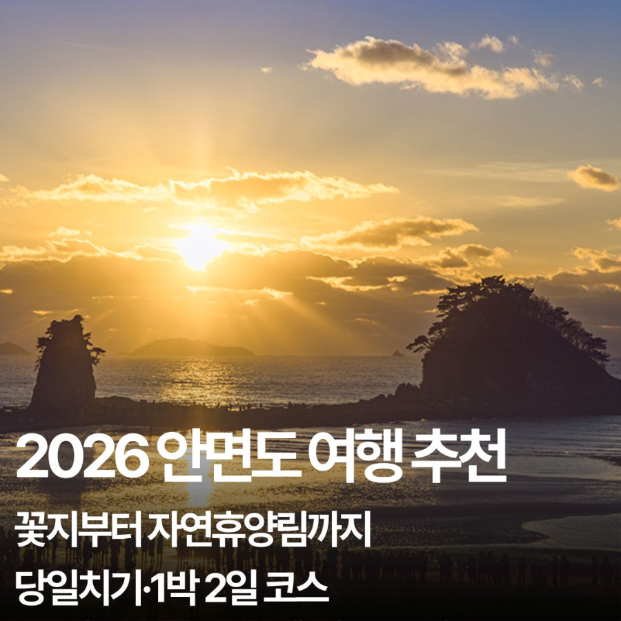 안면도 가볼만한 곳