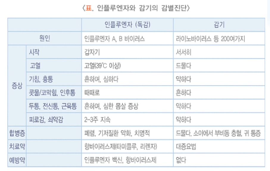B형독감 증상 기간 총정리 (+증상순서·휴유증·수액실비 실비)