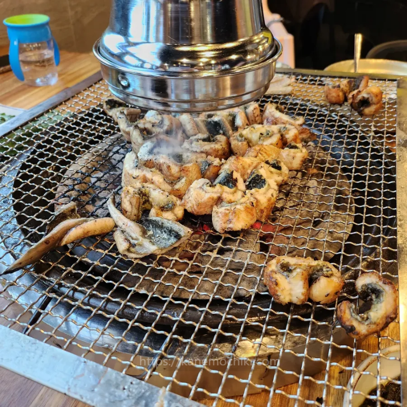 통보장어마을-특대장어-크기