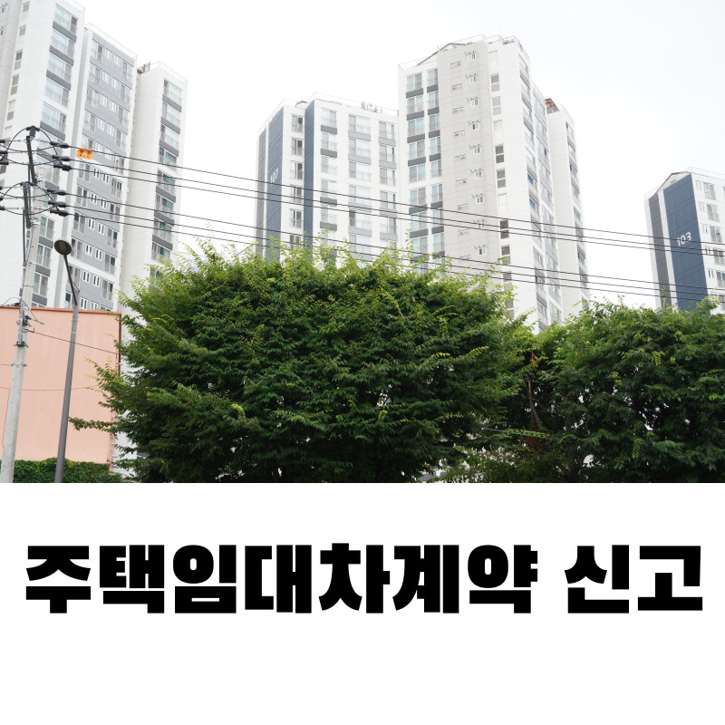 주택임대차계약 신고