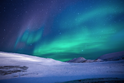 캐나다 신혼여행