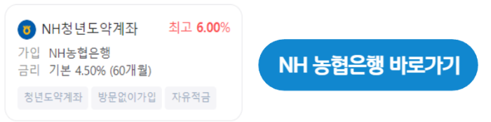 NH청년도약계좌