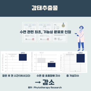 레몬밤 차