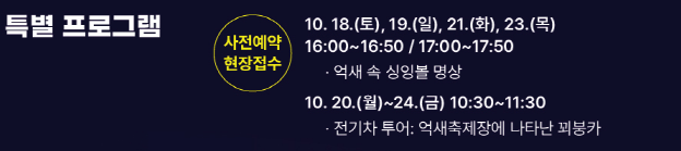 가을 감성 폭발! 제24회 서울억새축제 일정·볼거리·야경 포인트 정리